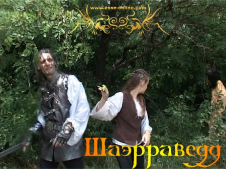 Вячеслав Майер (Геральт), Дарья Пронина (Цририлла) 