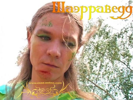 Андрей Бондаренко (Эльф)