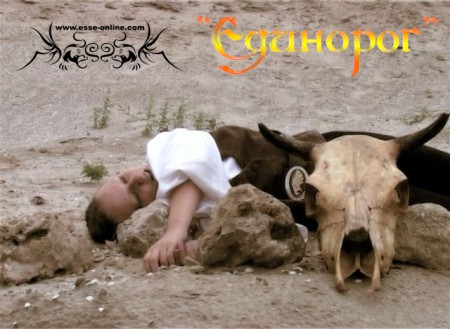 Дарья Пронина (Цирилла)