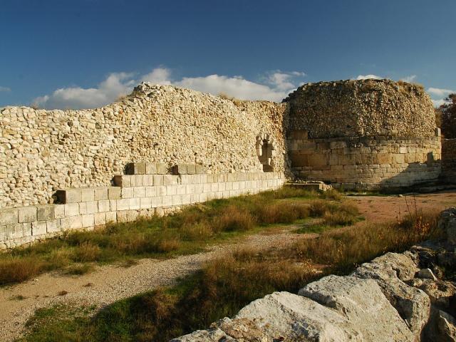 14472.jpg