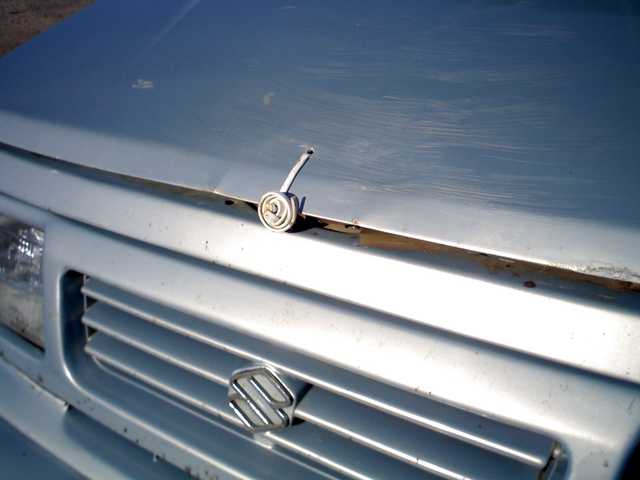 IMG072.jpg
